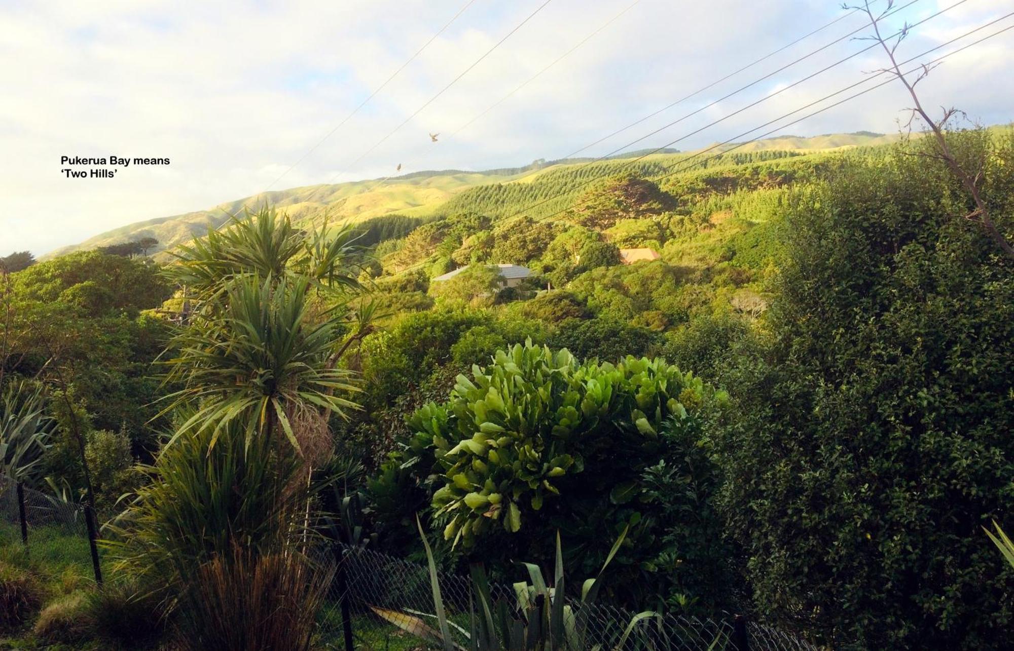 Peaceful Pukerua Bay Διαμέρισμα Εξωτερικό φωτογραφία